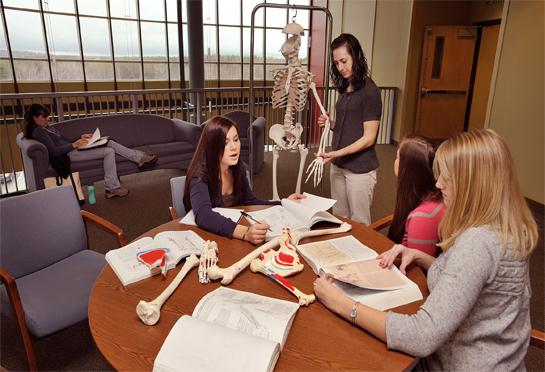 Health Sciences