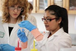 students looking at test tube