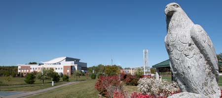 Students attend Homecoming