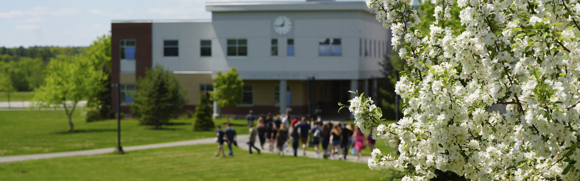 Spring trees and students walking on campus of Husson University