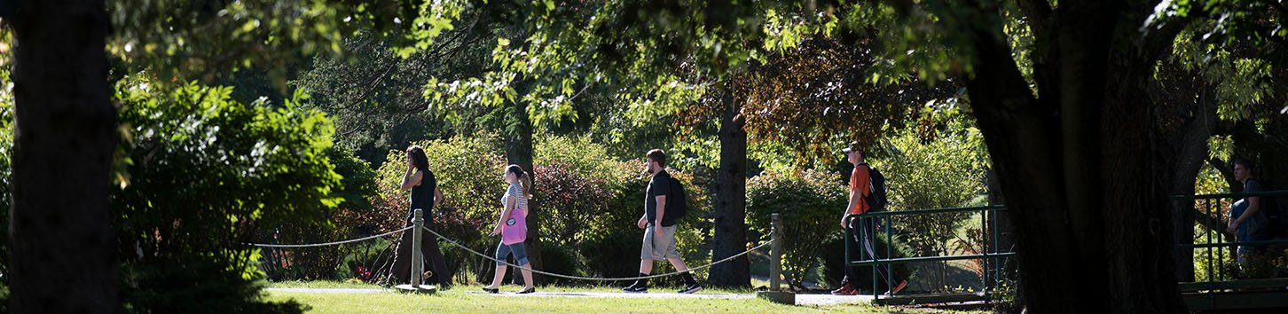 Students walking on campus