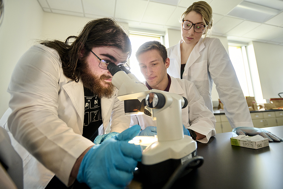 Students work in a forensic science lab using a microscope