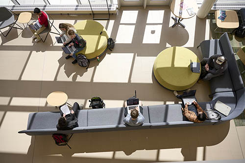 Students sitting and studying in Harold Alfond Hall