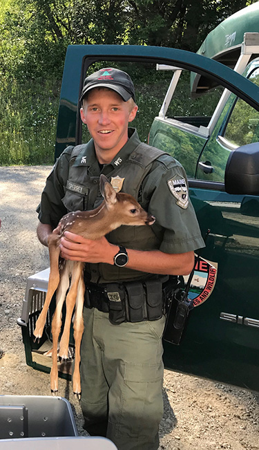 A conservation law enforcement officer holds a fawn