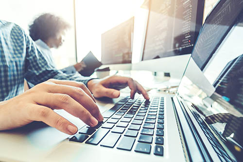 Employees work on computers in an office setting