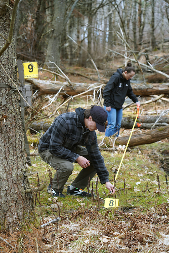 Student work in a forest to gather evidence for a forensic science class
