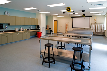 The interior of the Dahl Anatomy Lab located in O'Donnell Commons.