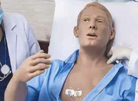 A Sim Manikin showing active motor function.