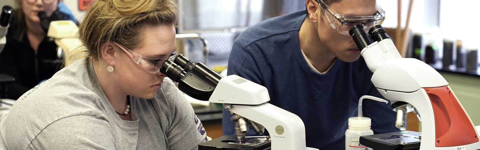 Student work in a microscope laboratory