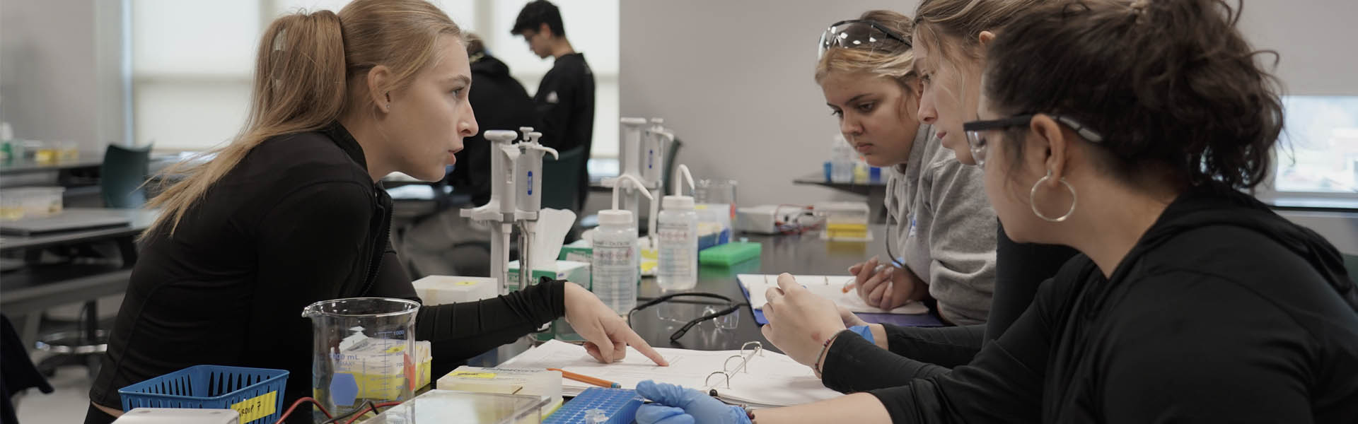 Biology majors work in a lab while pursuing their biology degree through Husson's Bachelor of Science in Biology program.