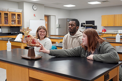 three students work in a lab setting looking at a model of human anatomy
