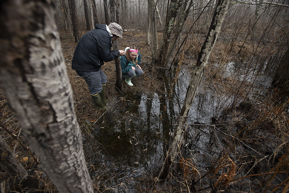 Students participate in a vernal pool study on the grounds of Husson University