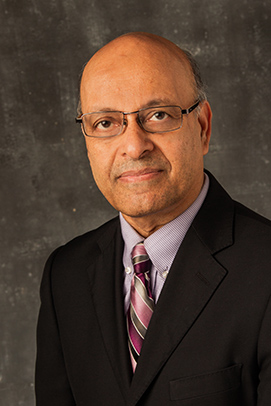 Muhammad Delwar Hussain, PhD