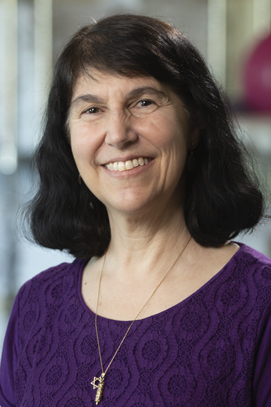 Sondra Siegel, PT, PhD