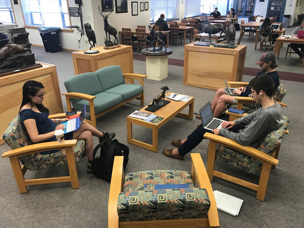 Students studying in the library