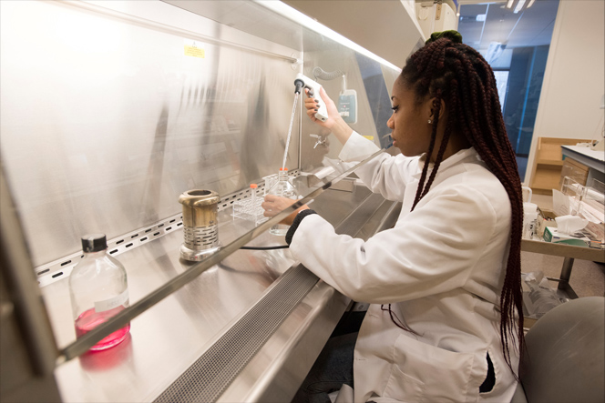 Students work in a lab on campus at Husson University