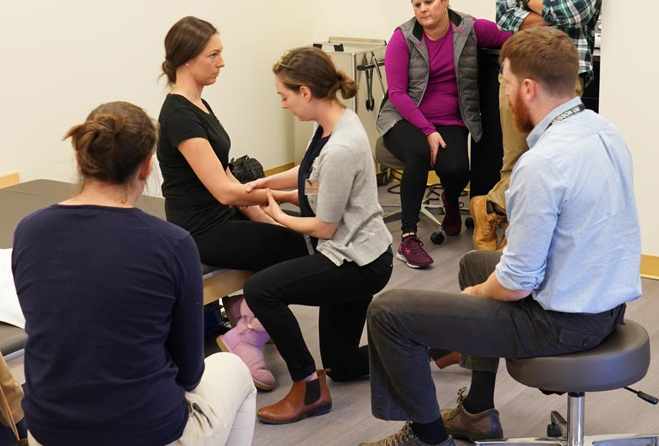 physical therapy workers performing physical therapy exams