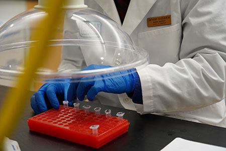 Pharmacy student works in a lab