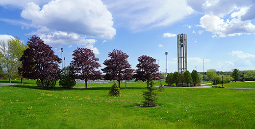 Husson University's campus is shown. There is green grass, trees and a bell tower in the photo.