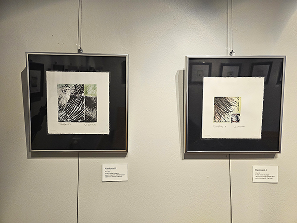 Framed drawings are shown on a gallery wall at Husson University.