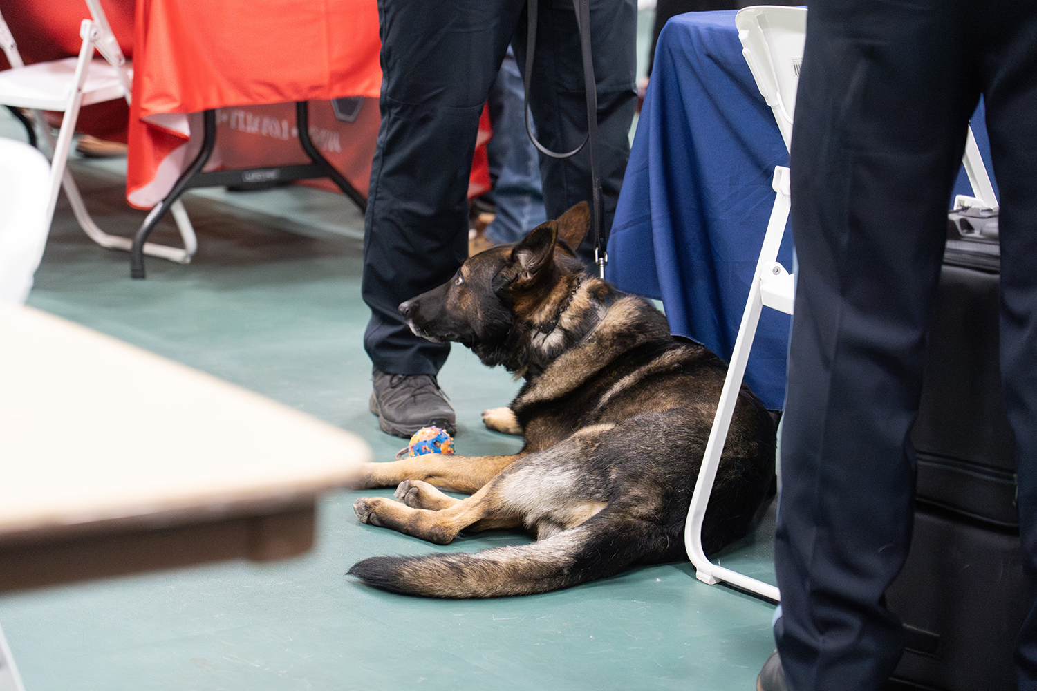 A German shepherd sits on the floor by human legs.
