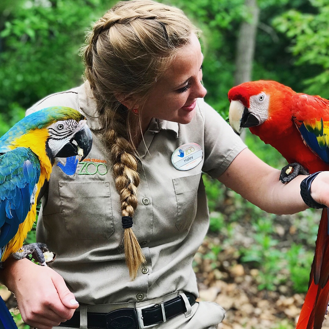 Image of Haley Beer, a faculty member at Husson University.