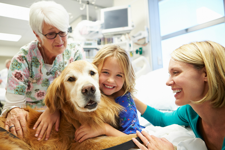 a nurse, little girl and woman gather around a dog