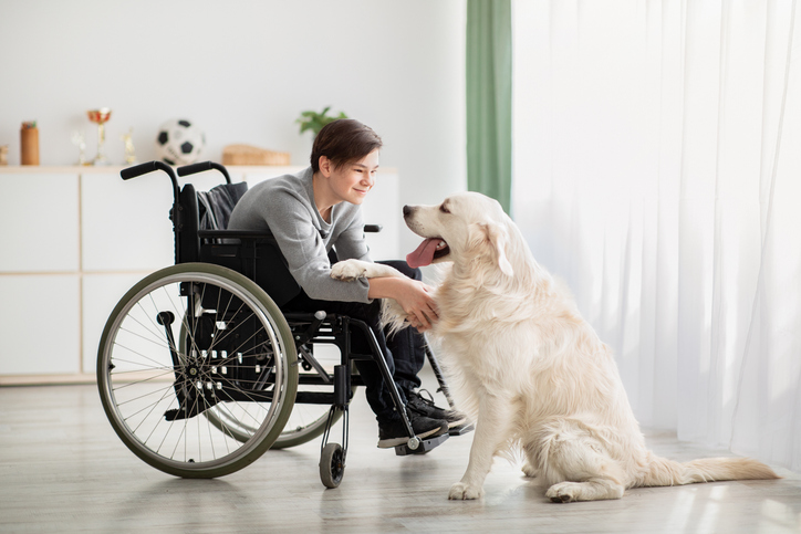 person sitting in a wheelchair while shaking a dog's paw