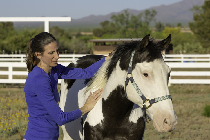 woman standing next to and petting a horse