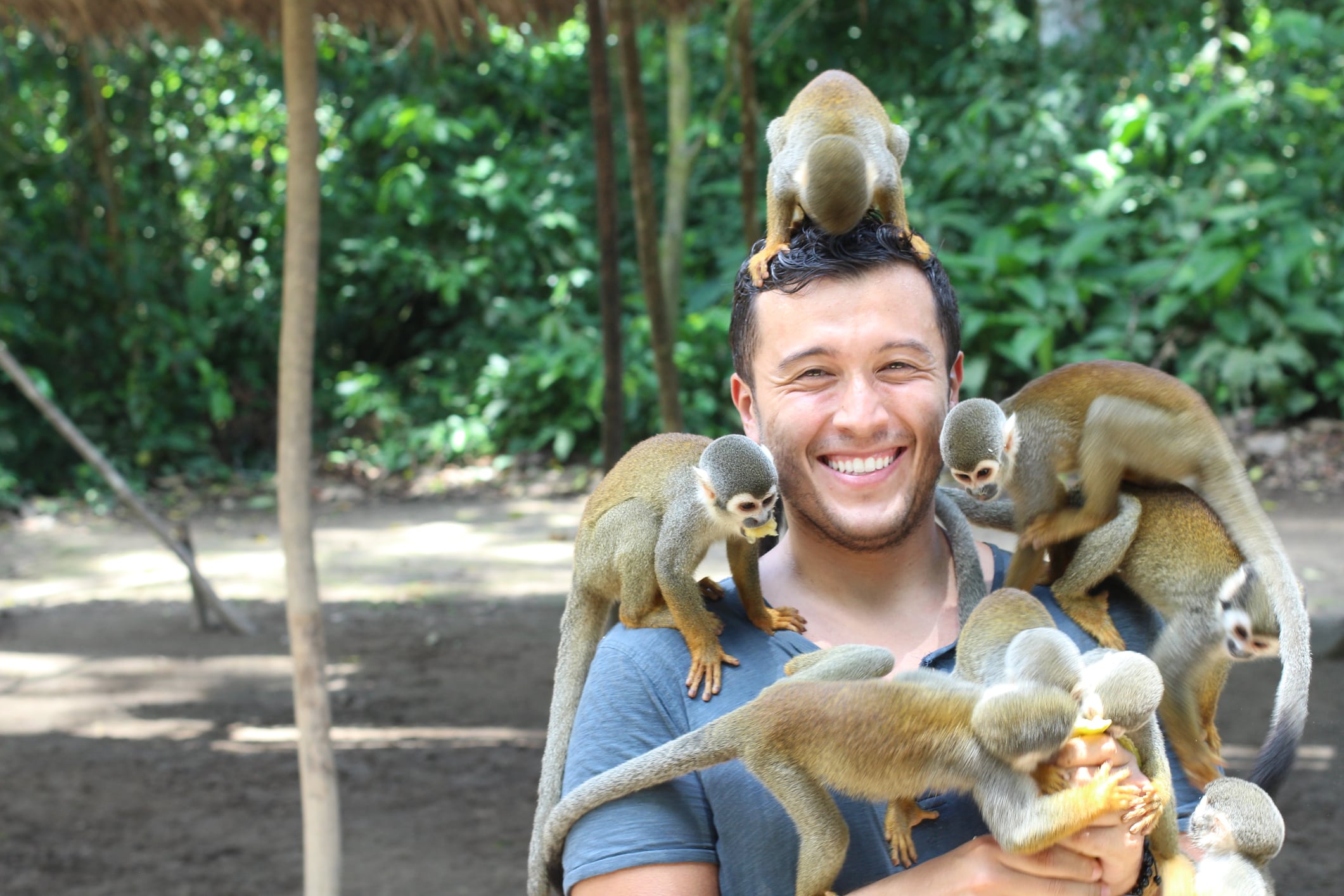 Man holding several monkeys.