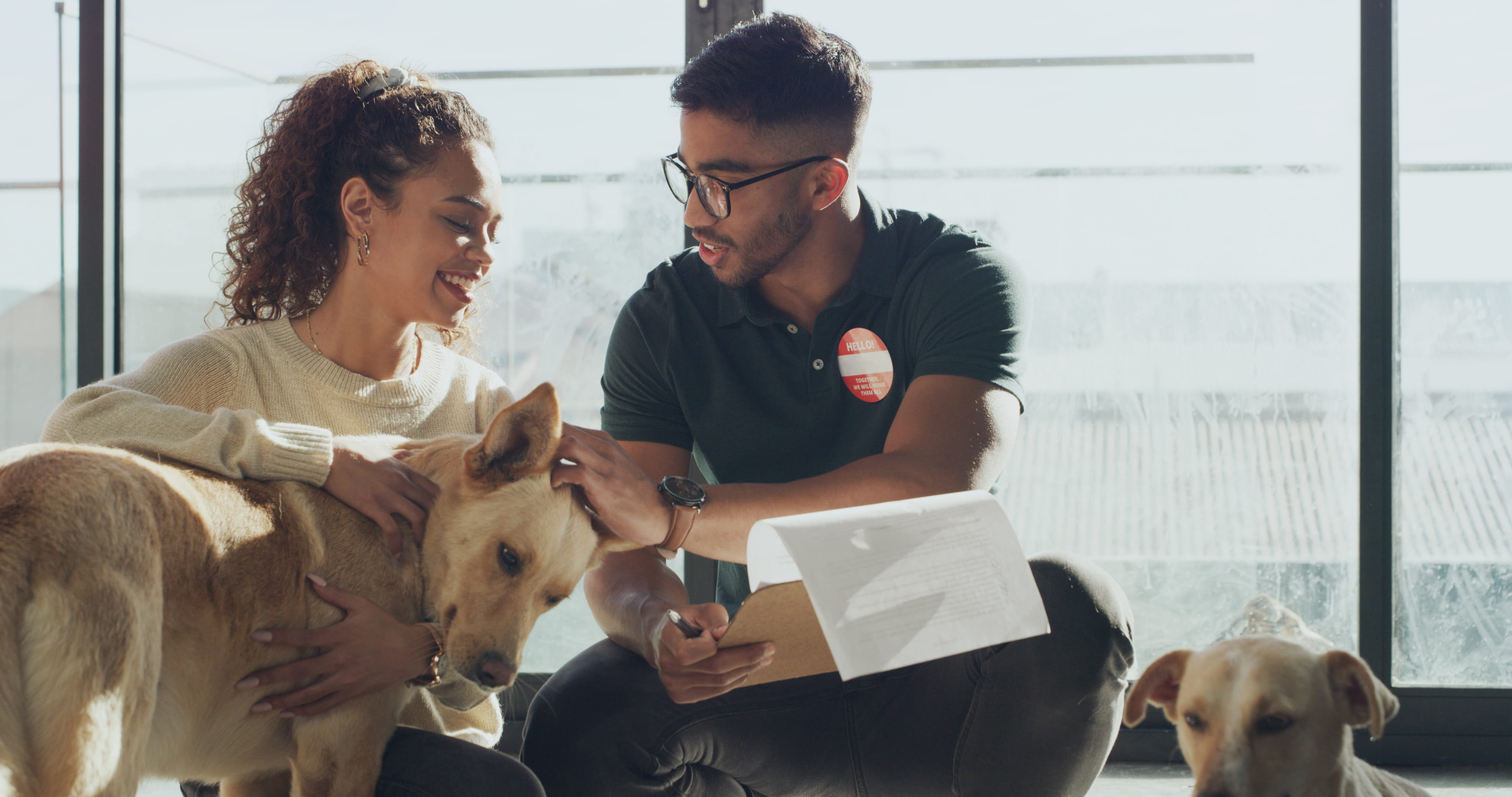 Animal shelter volunteers kneel while petting dogs.