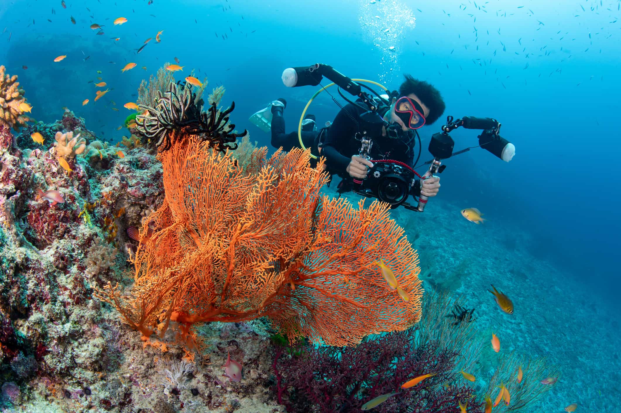Scuba diver takes photos of a coral reef with an underwater camera.
